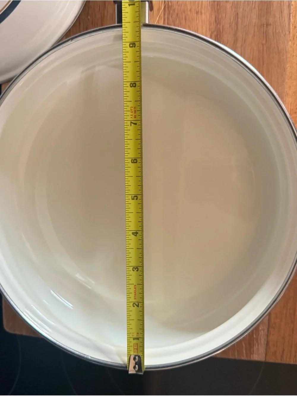 Vintage Country Goose Enamel 9